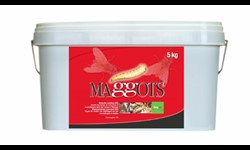 MAGGOTS 5 kg (gegen Fliegenlarven im Stall)